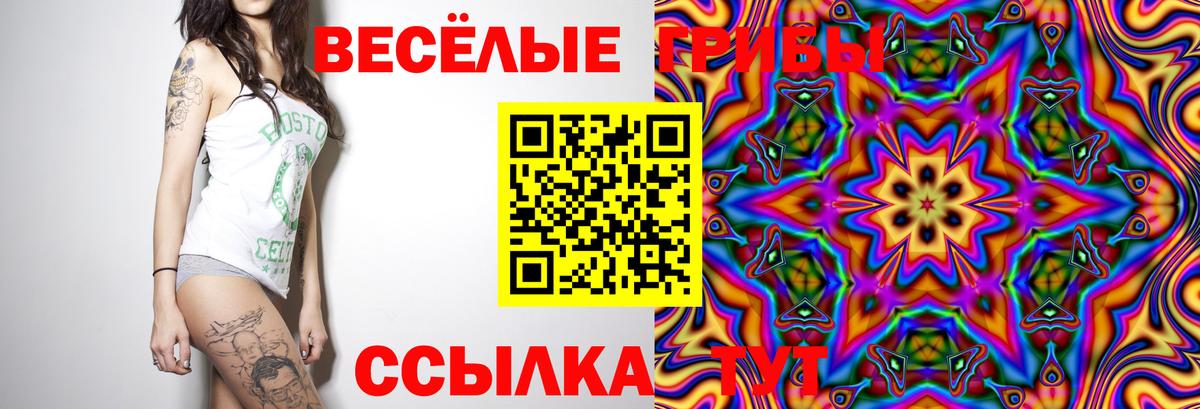 Псилоцибиновые грибы Psilocybe Нефтеюганск
